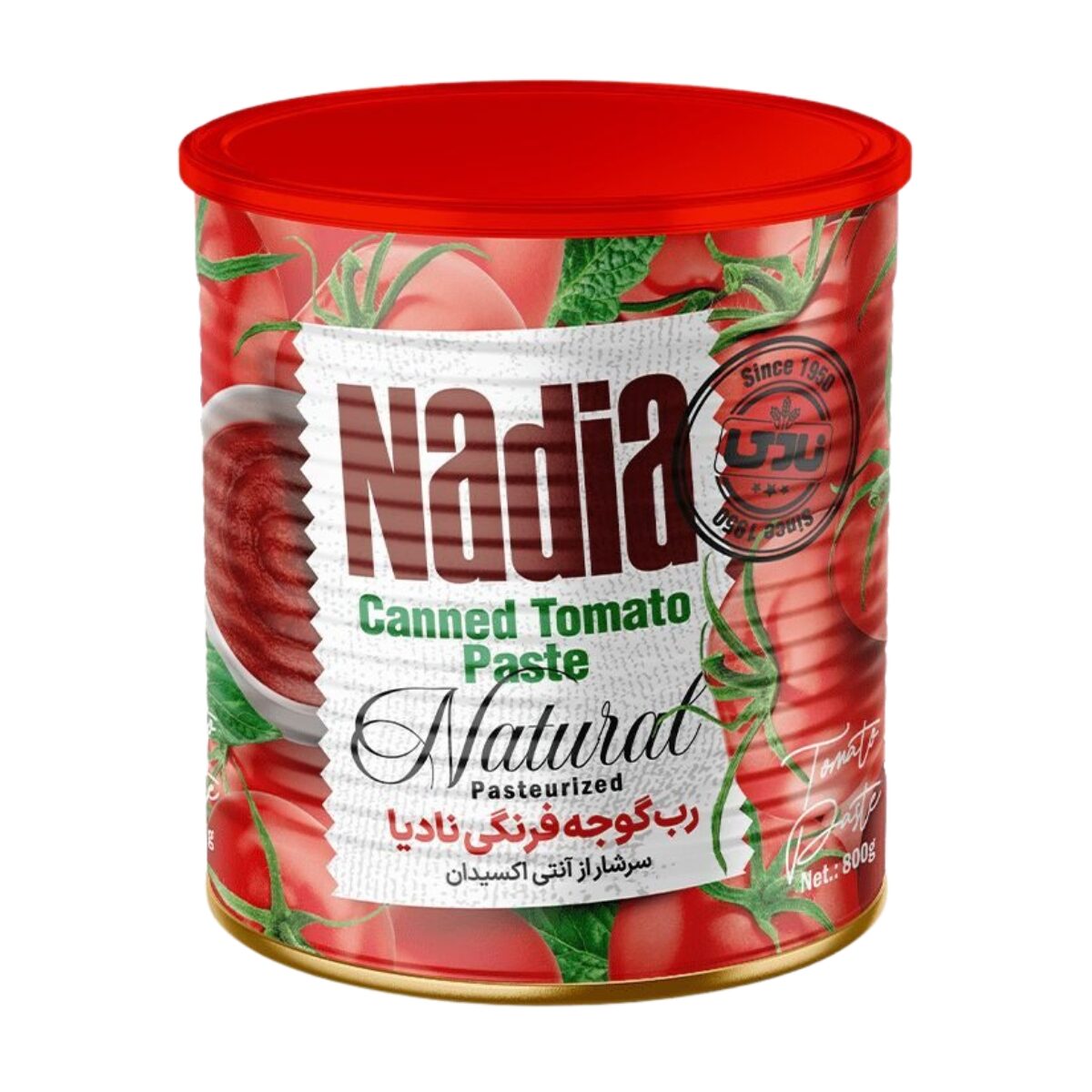 Conserva Pasta de Tomate Nadia 800g